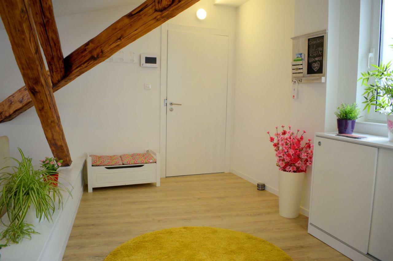Apartment Rama 萨格勒布 外观 照片