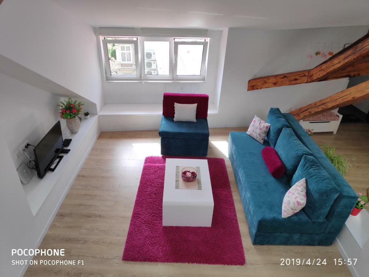 Apartment Rama 萨格勒布 外观 照片